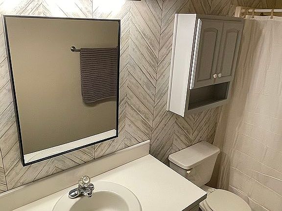 Guest/main bathroom