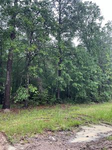 Somerset, Livingston, TX, 77351