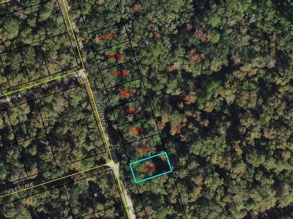 4 Fig Tree Ln, Crawfordville, FL 32327
