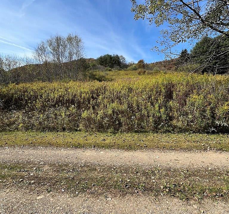 2nd image of 32 Phoebe Ln