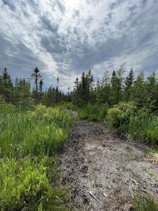  FERNDALE ROAD, Porterfield, WI, 54159