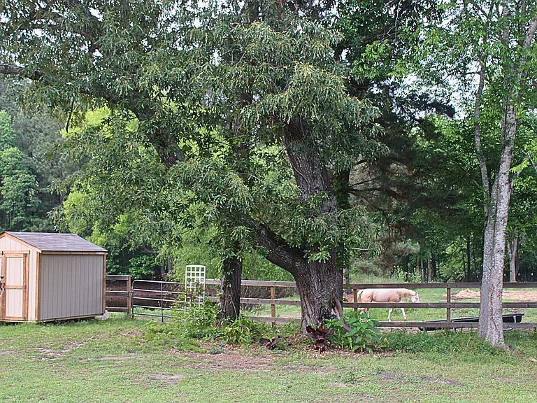 2850 County Road 233D — Photo 31