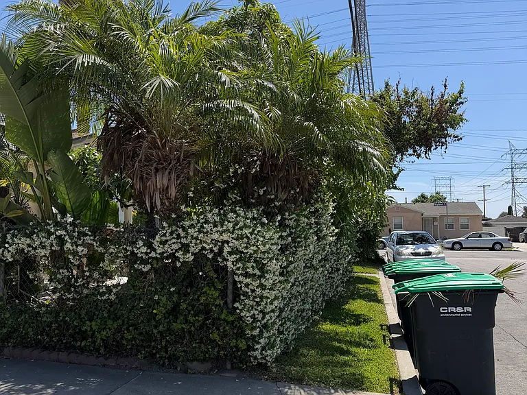Hayter Ave — Photo 12