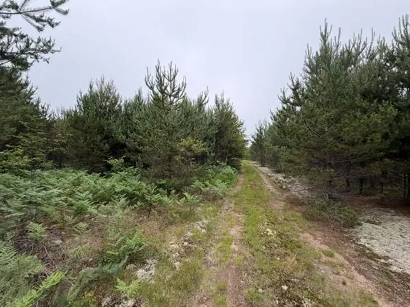 17268 W Pendills Lake Rd, Brimley, MI 49715