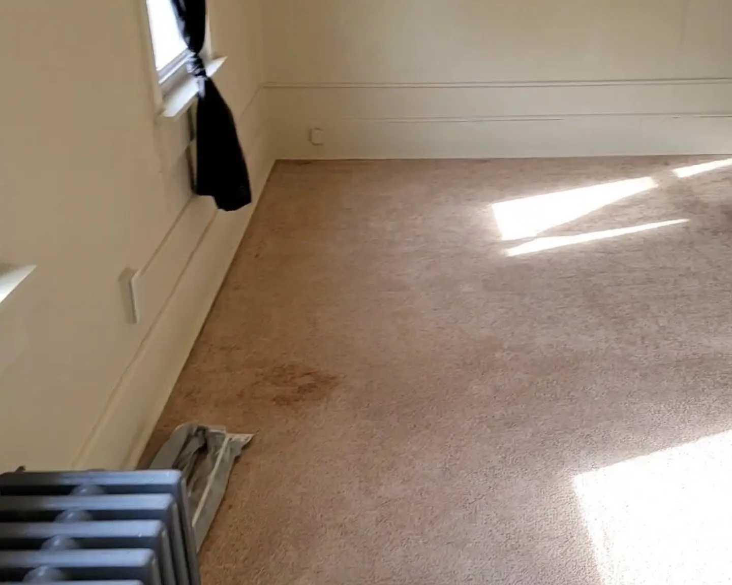 1 bed, 900 sqft, $800 — Photo 3