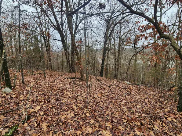 L-22 Vagabond Heights Dr #B, Williford, AR 72482