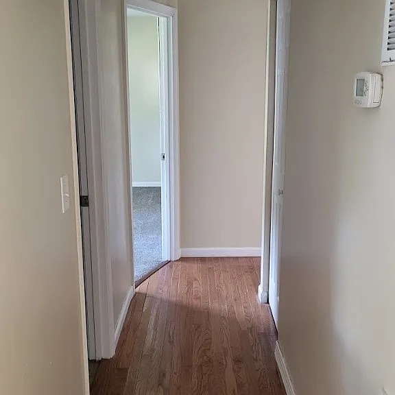 206 Spring Dr — Photo 12