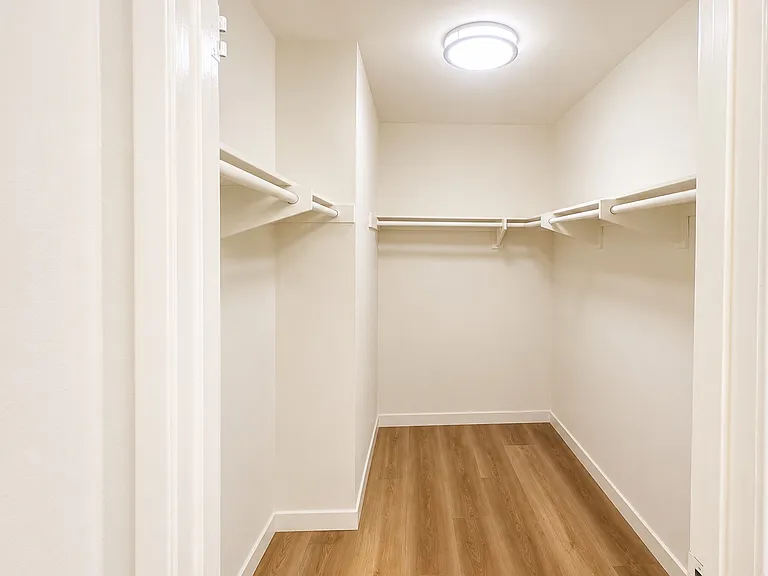Primary Walk-in Closet