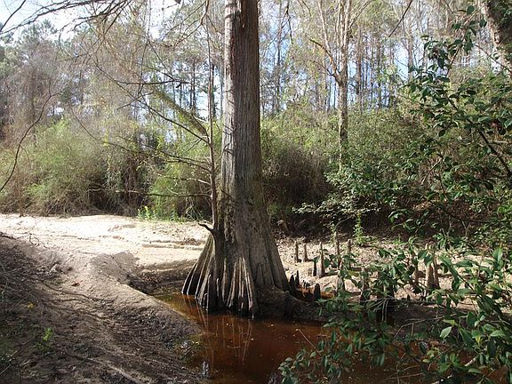 2nd image of 8284 Highway 28