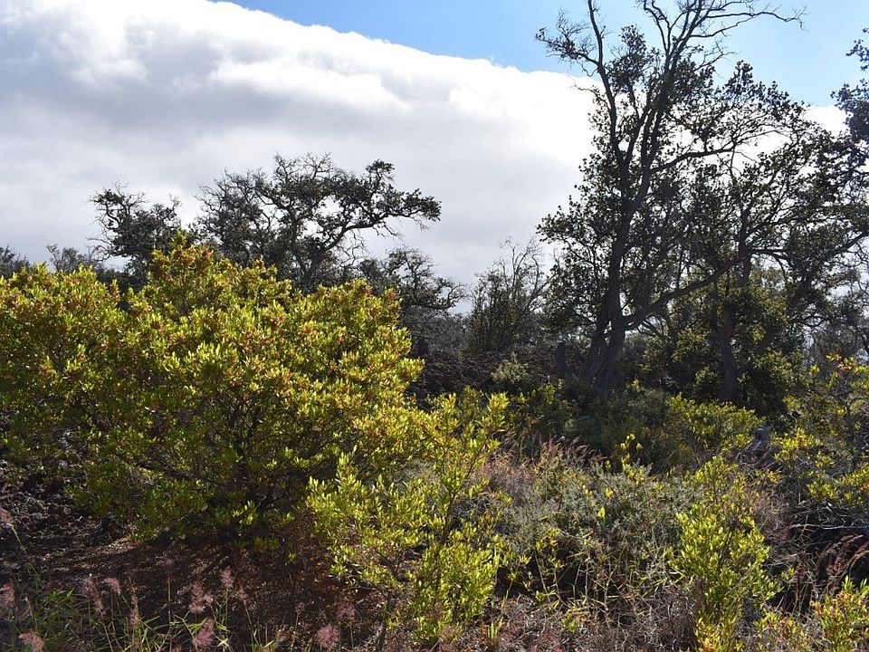 1st image of Princess Kaiulani Blvd Lot 2