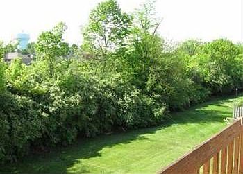 2nd image of 5385 Camelot Dr APT 3C