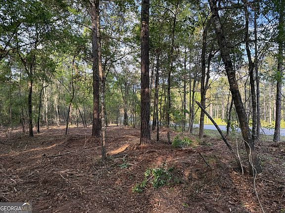 4th image of 0 Booster Club Rd