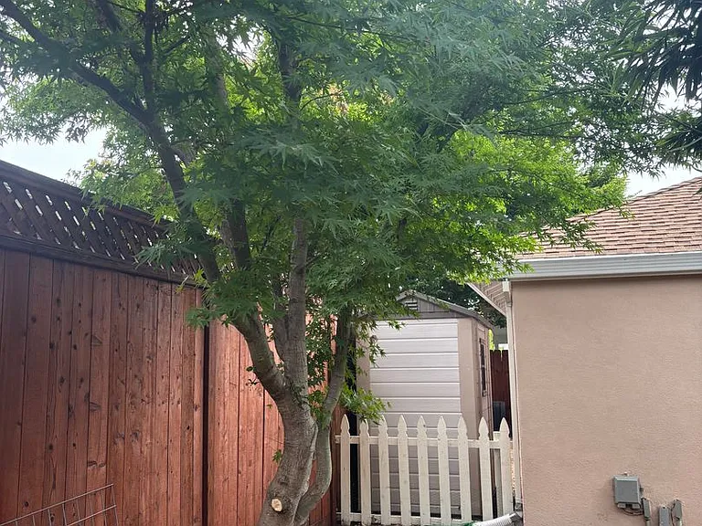 3161 & 3163 Carvel Dr — Photo 13