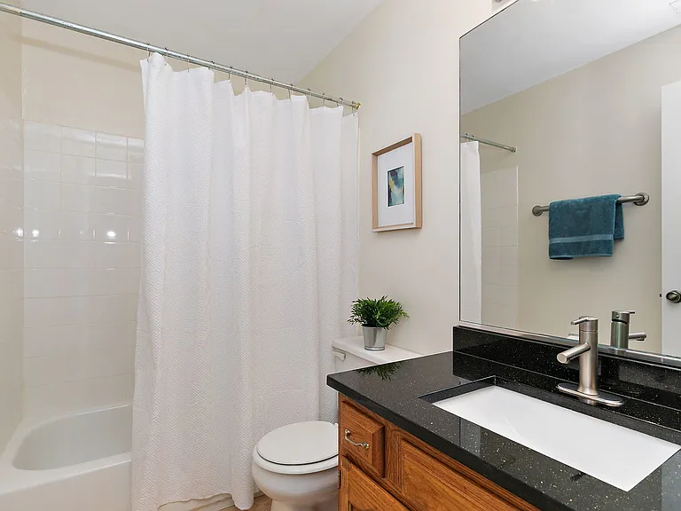 Guest bathroom