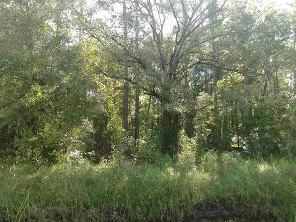 10680 & 10700 Isaacson Ave, Hastings, FL 32145