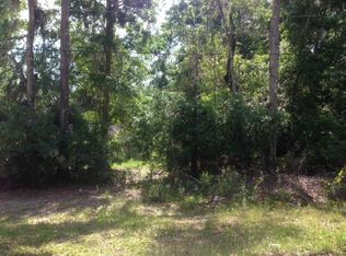 117 Domingo Rd, Satsuma, FL 32189