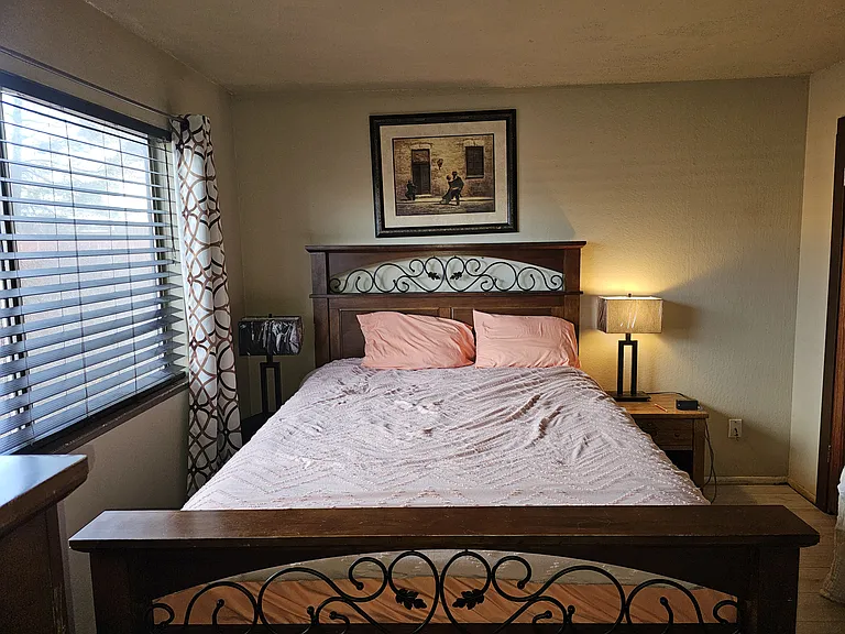 3228 Bristle Branch Dr — Photo 13