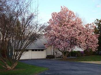 1st image of 10 Collier Dr W