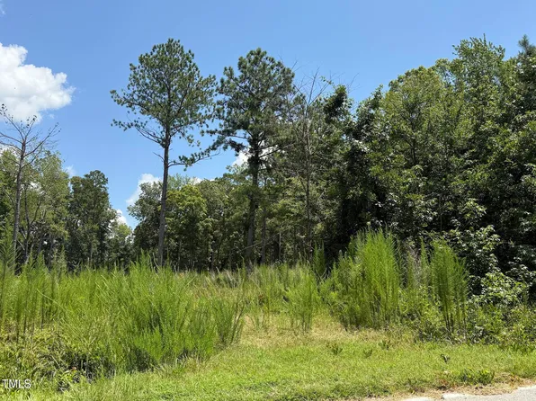 2210 Harris Rd, Rougemont, NC 27572