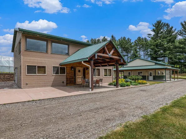 10770 21 Mile Rd, Evart, MI 49631