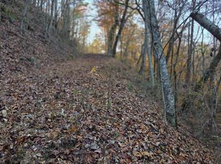 LOT 8 Dove View Rd, Sevierville, TN 37862