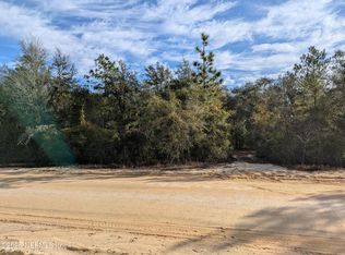 2090-0060 SW 60th Ave, Interlachen, FL 32148