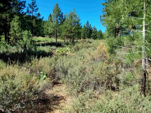 1175 Great Spirit #16, Clio, CA 96106