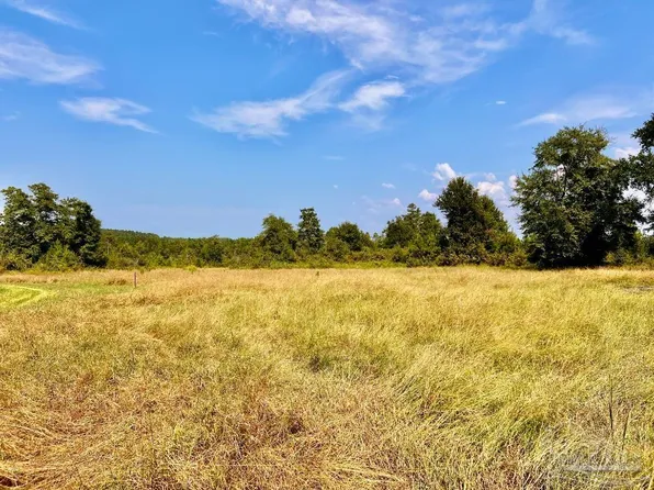 17 Morgan Ln, Molino, FL 32577