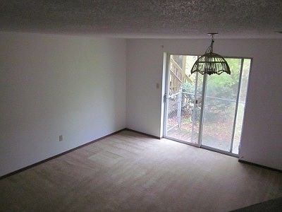 Lower level living room