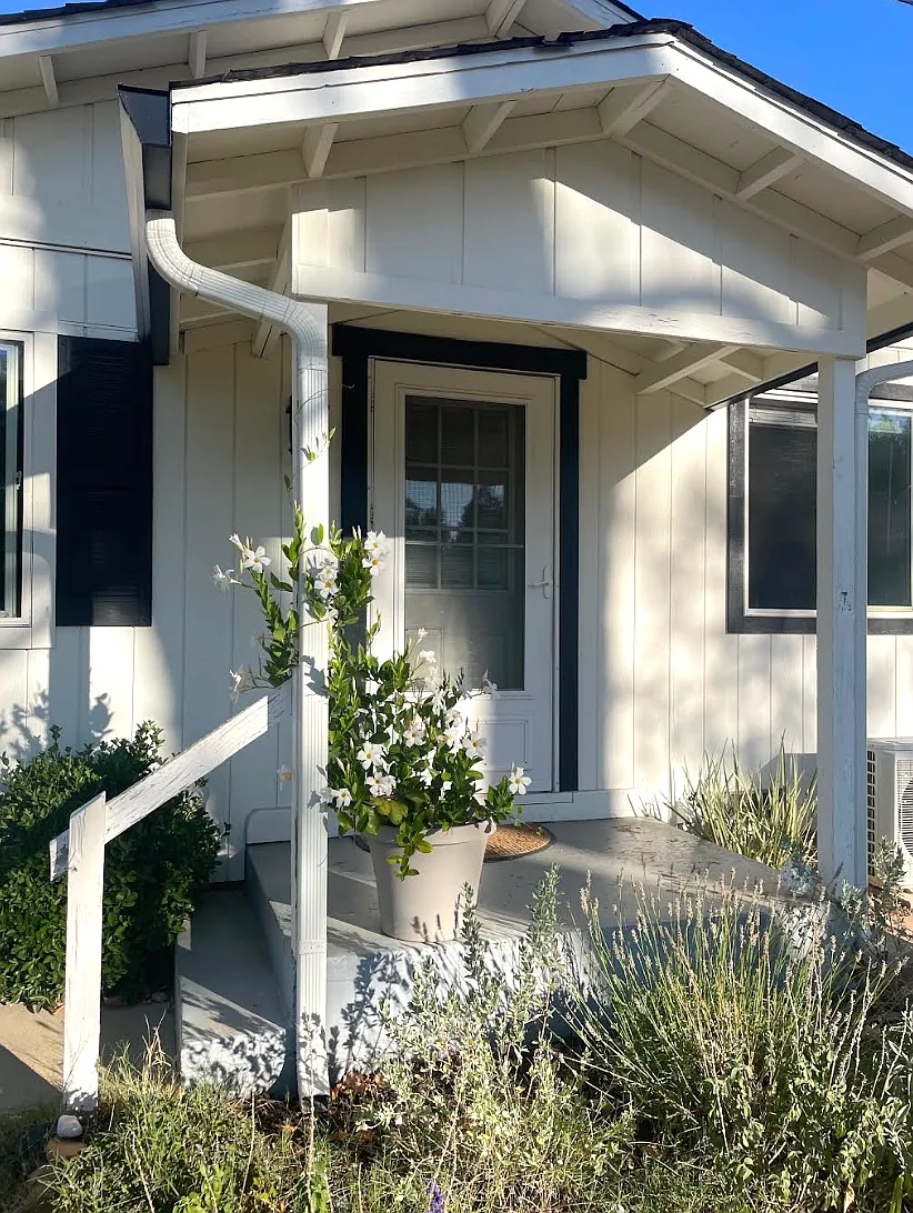 2 bed, 800 sqft, $2,000 — Photo 2