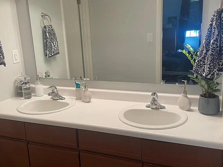 Primary Bedroom Vanity