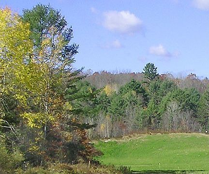 2nd image of 4 Deer View Caterall