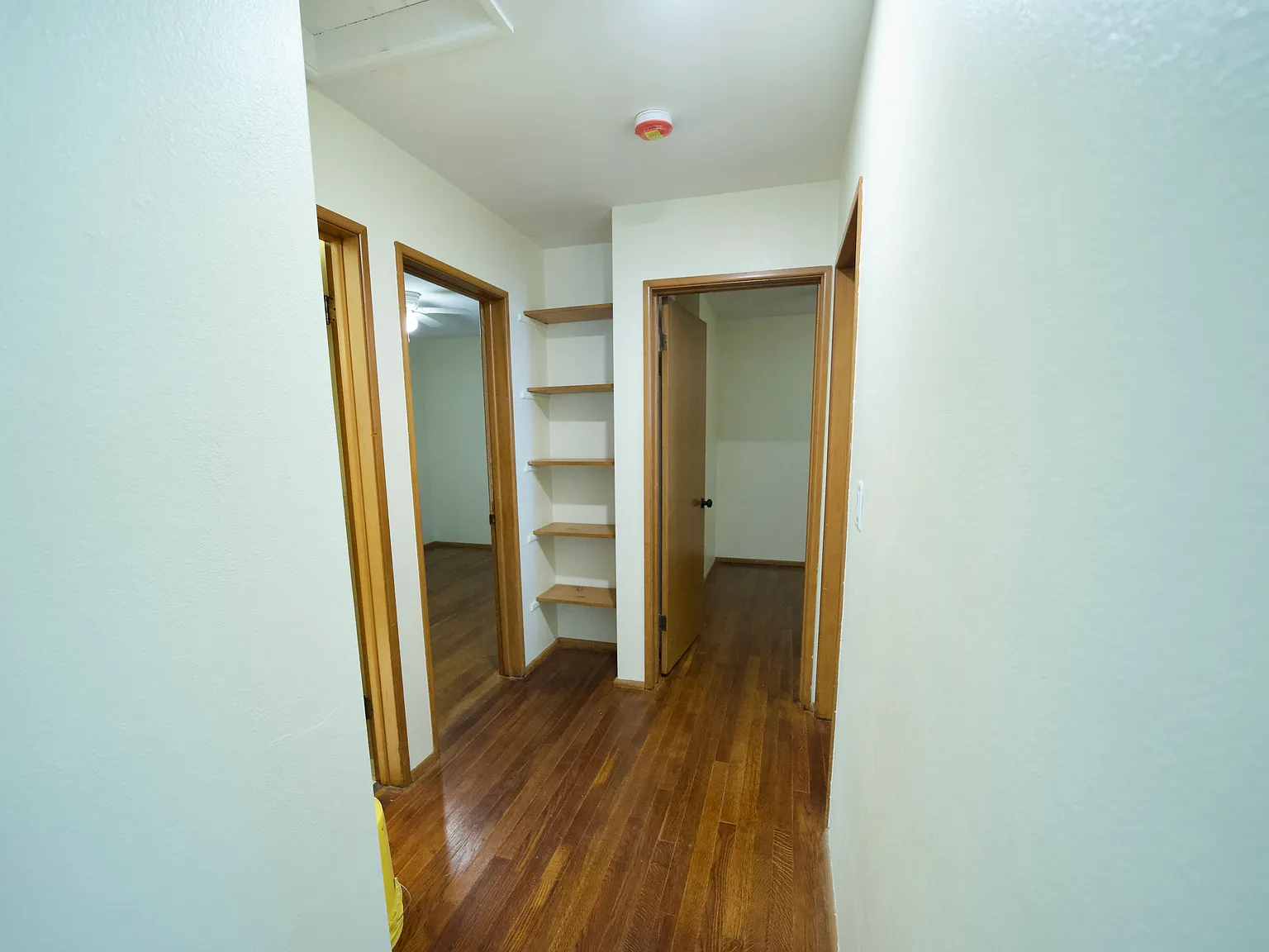 703 Green — Photo 4