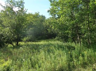LOT 6 German Rd LOT 6, Willet, NY 13863