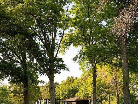 72nd image of 2311 Darks Mill Rd