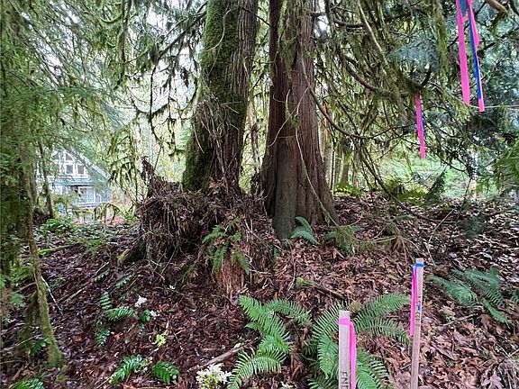 4th image of 15026 Iceberg Road