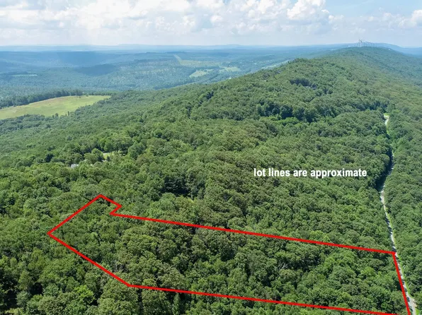 LOT 7 Backbone Rdg, Oakland, MD 21550