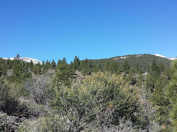 View From Top Looking West