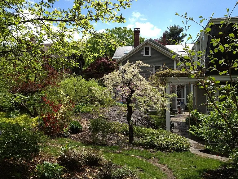 view back toward house from upper backyard