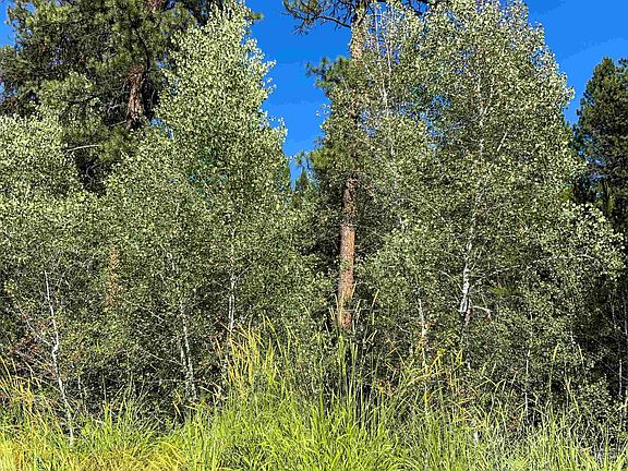 3rd image of Tbd Meadow Creek Dr