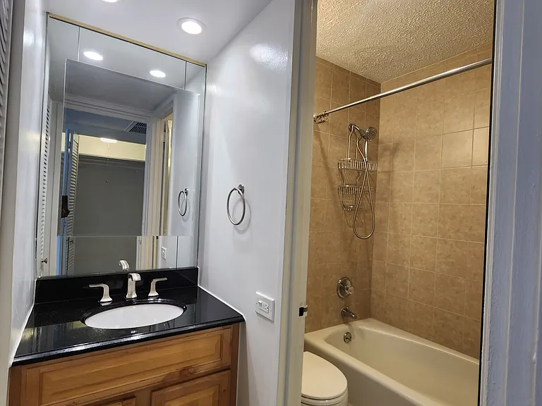 260 E Chestnut St #803 — Photo 6