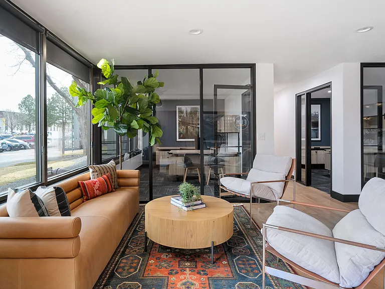 Elm at Panorama — Photo 32