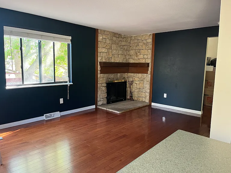 living room (with fireplace)