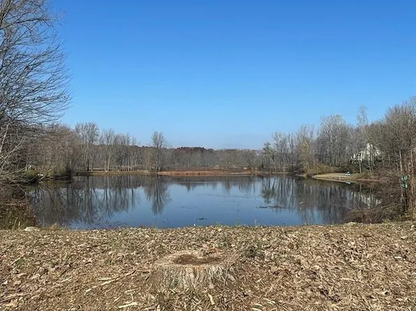 9058 Pineview Lake Ct, Linden, MI 48451
