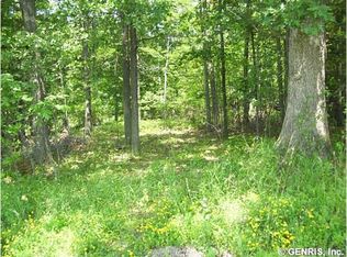 0 Ardrey Rd, Dundee, NY 14837