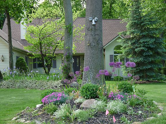 In Bloom