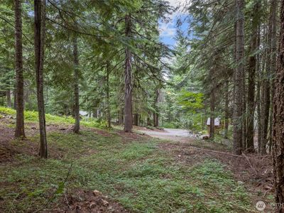 180 Alpine Lane, Easton, WA, 98925