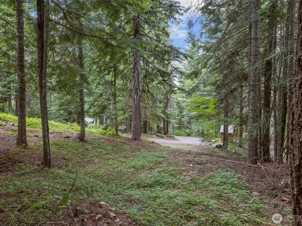 180 Alpine Lane, Easton, WA 98925