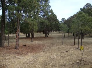 104 Mira Monte Rd, Alto, NM 88312