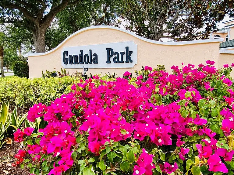 801 Gondola Park Dr #801 — Photo 16